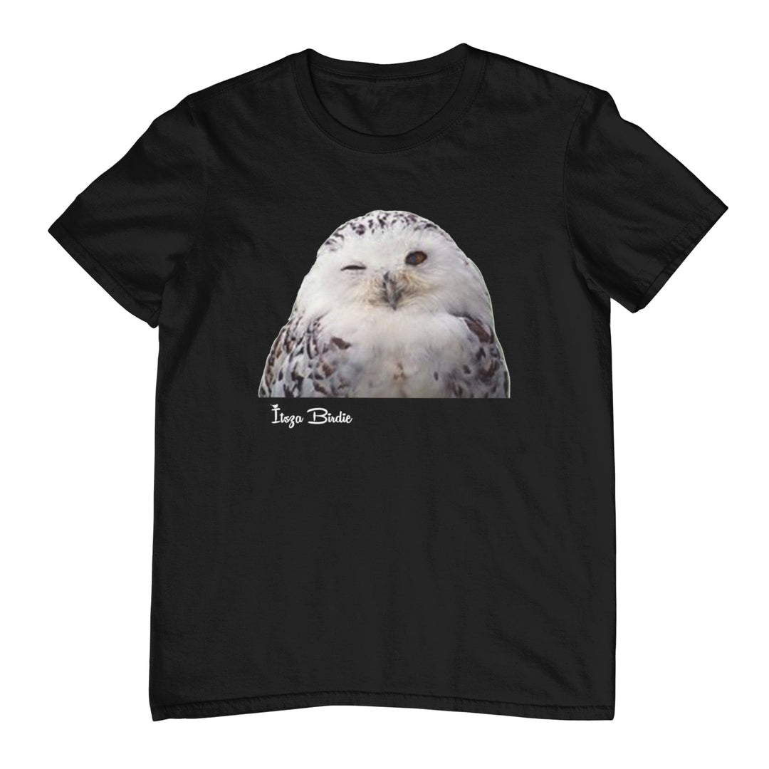 Winking Owl Women's T-shirt