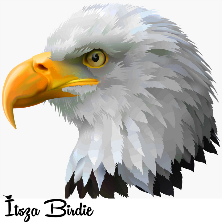 Itszabirdie American Bald Eagle Women's T-Shirt