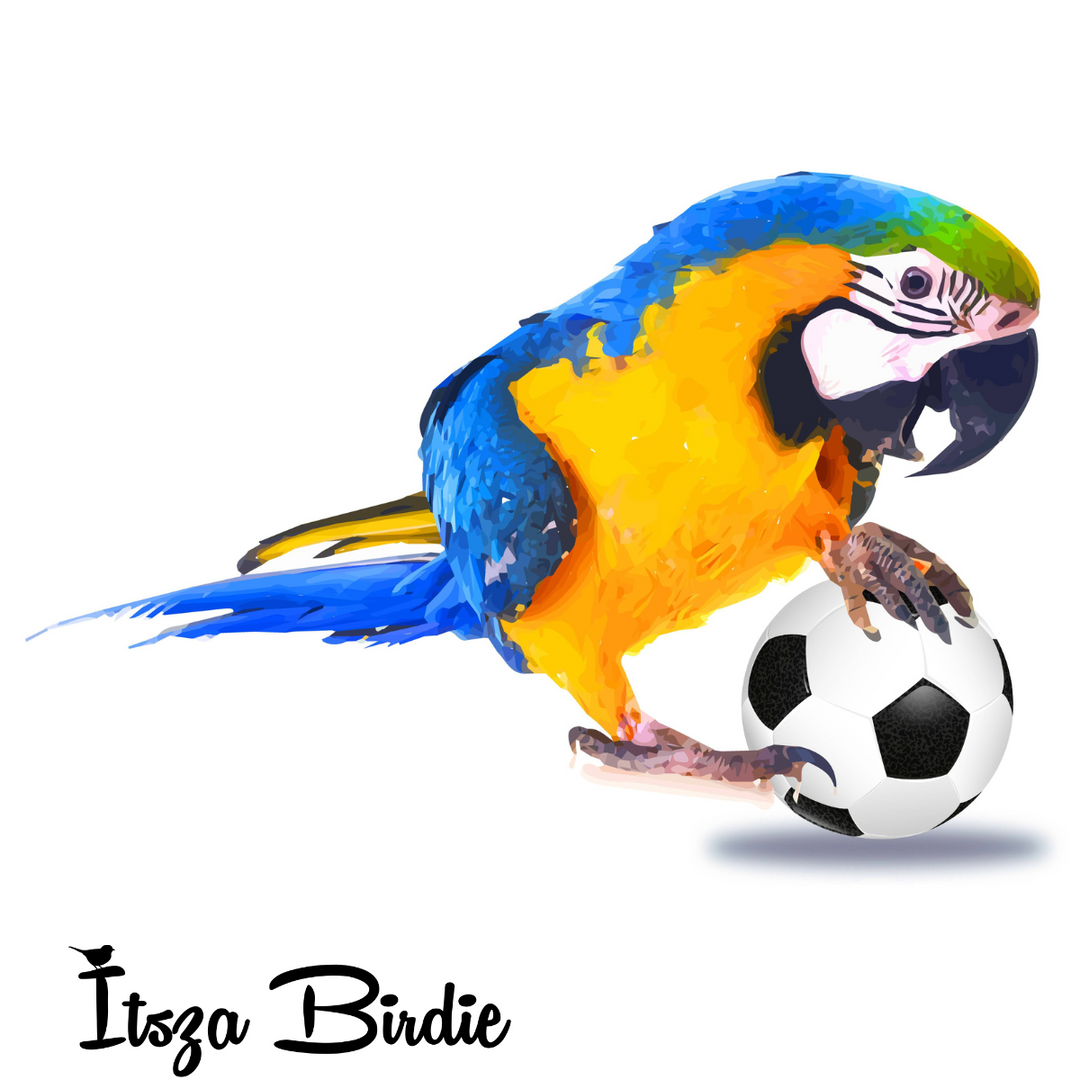 Parrot Soccer Cotton T-shirt